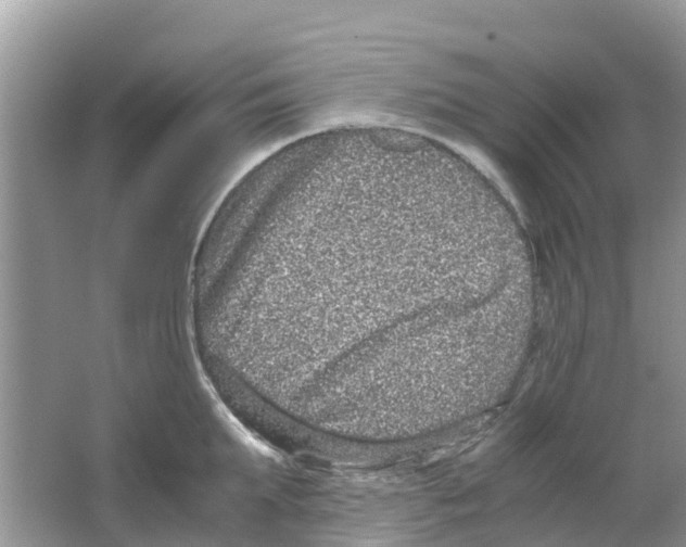 X0000063500903200602172115