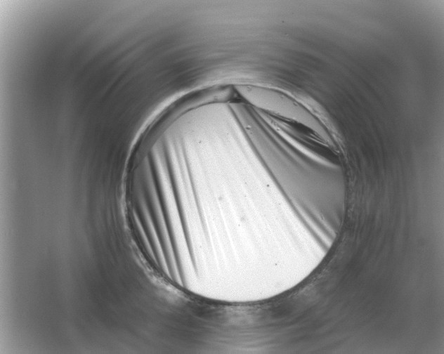 X0000063500904200602172115