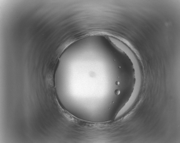 X0000063500905200602172115