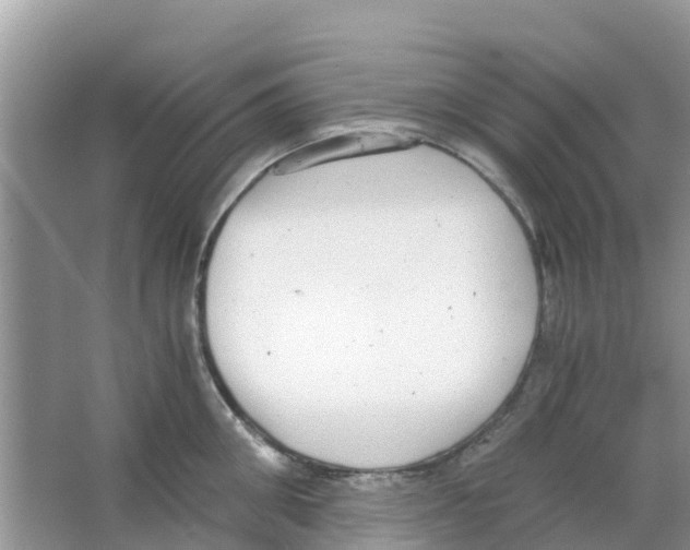 X0000063500906200602172115