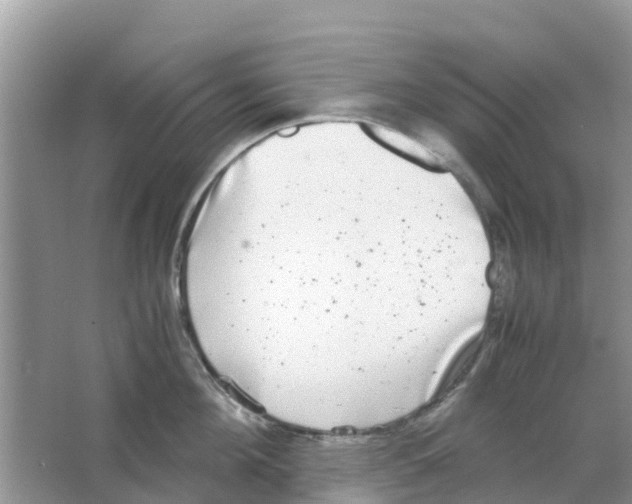 X0000063500908200602172115