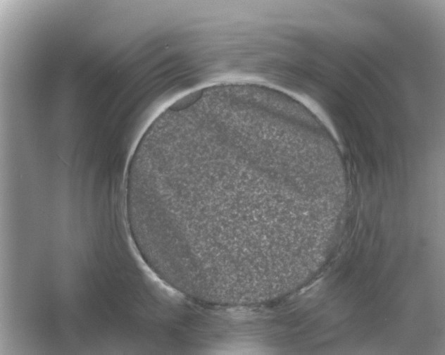 X0000063500911200602172115