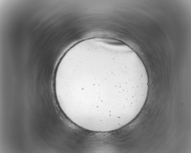 X0000063500912200602172115