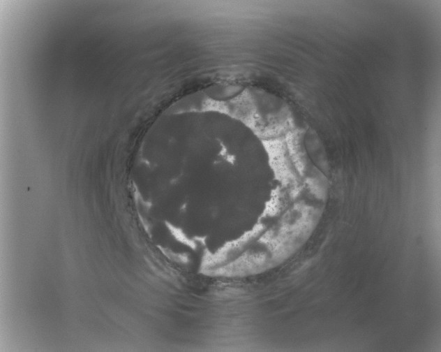 X0000063500913200602172114