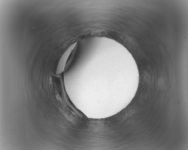 X0000063500914200602172114