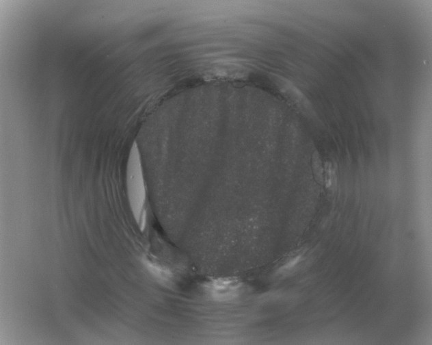 X0000063500915200602172114