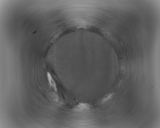 X0000063500916200602172114