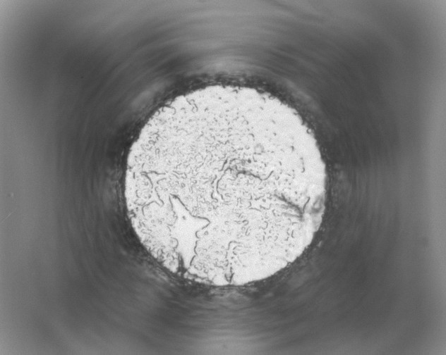 X0000063500918200602172114