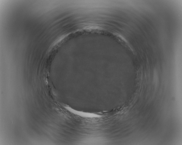 X0000063500919200602172114