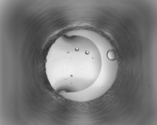 X0000063500920200602172115