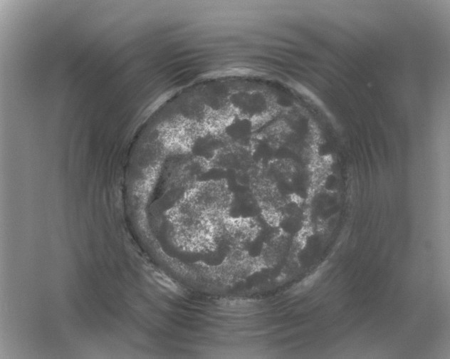 X0000063500921200602172115