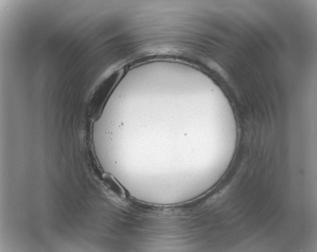 X0000063500922200602172115