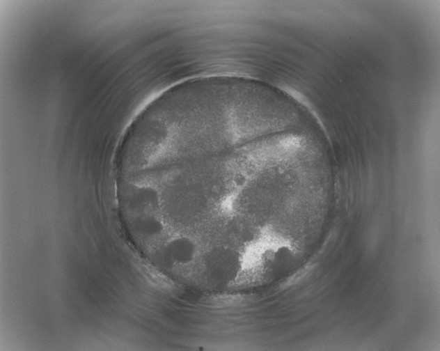 X0000063500925200602172115