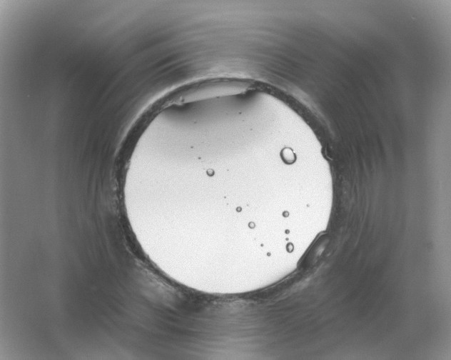 X0000063500926200602172115