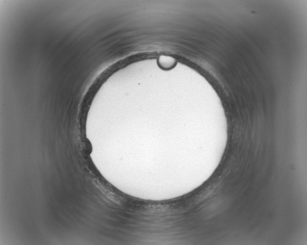 X0000063500927200602172115