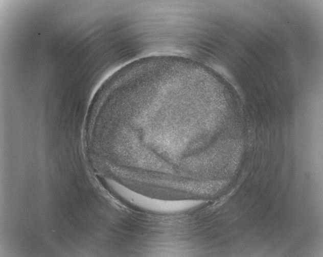 X0000063500928200602172115