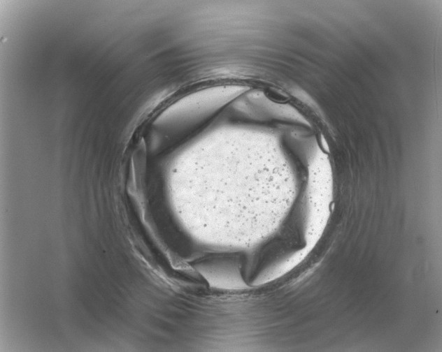 X0000063500930200602172115