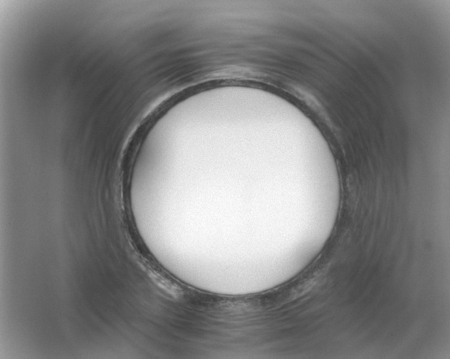 X0000063500931200602172115