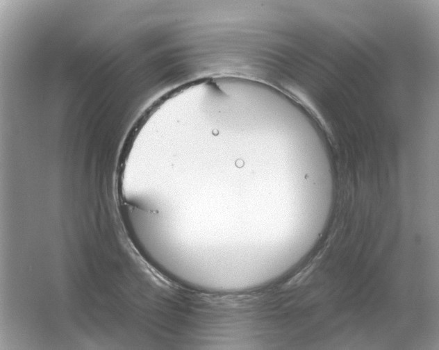 X0000063500932200602172115