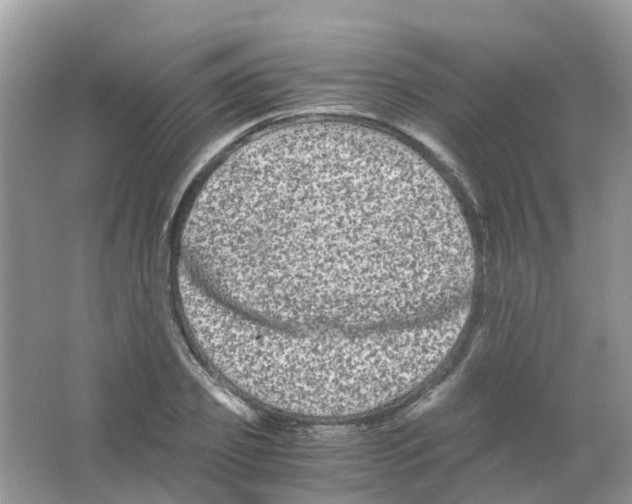 X0000063500933200602172115