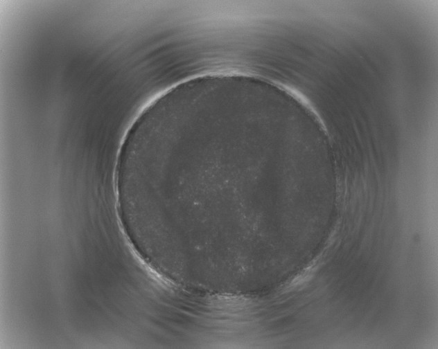 X0000063500935200602172115