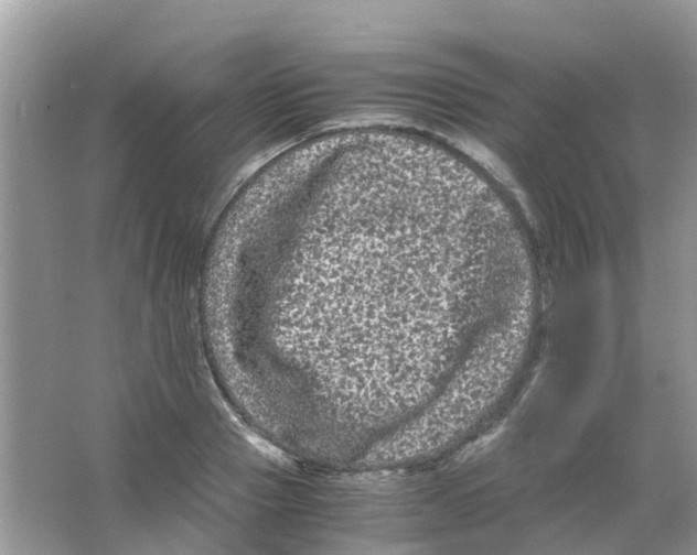 X0000063500937200602172115