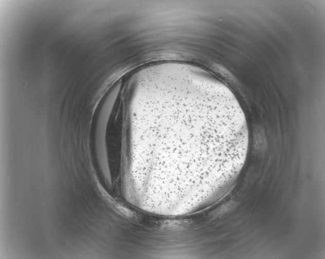 X0000063500938200602172115