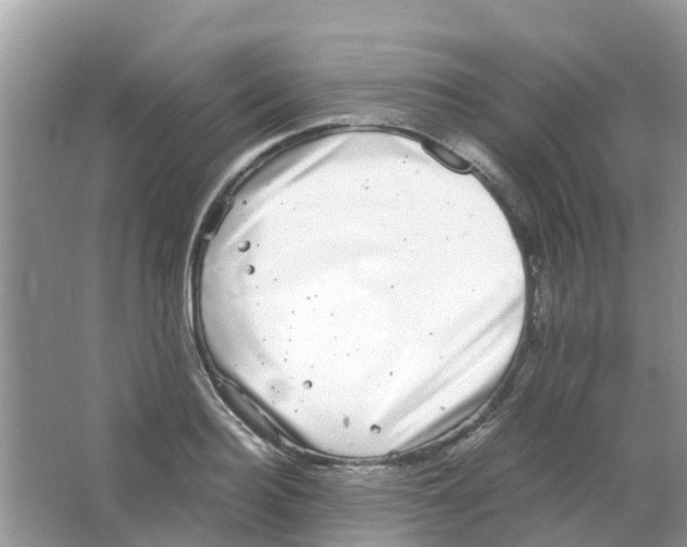 X0000063500940200602172115