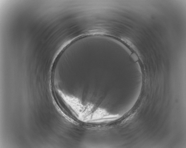 X0000063500941200602172115