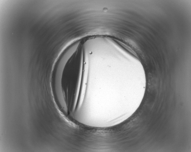 X0000063500942200602172115