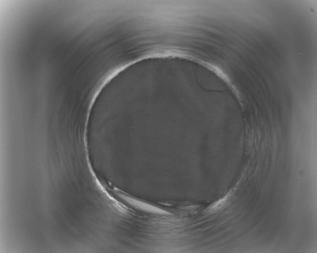 X0000063500943200602172115