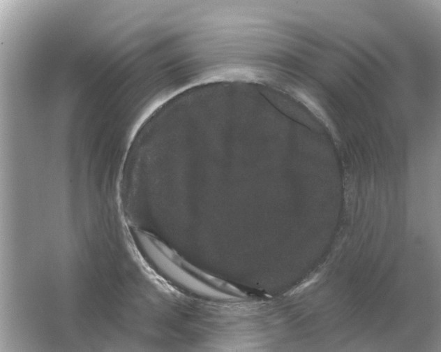 X0000063500944200602172115