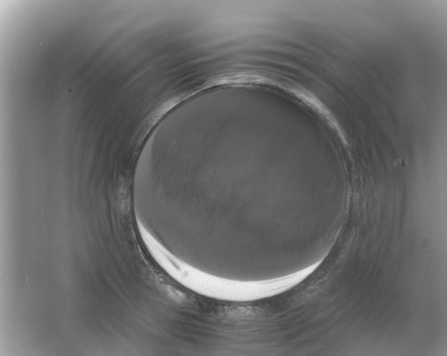 X0000063500945200602172115