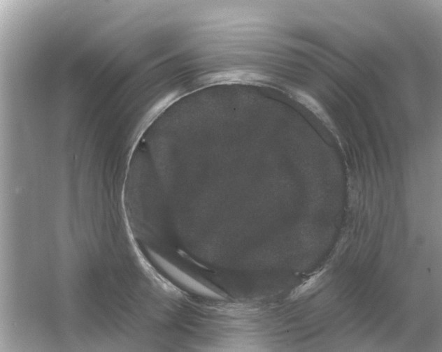 X0000063500946200602172115