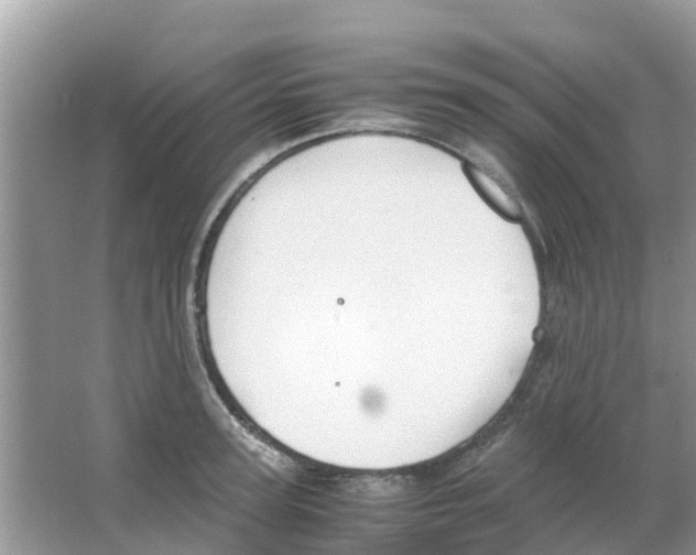 X0000063500947200602172115