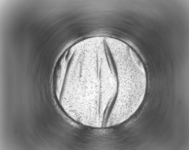 X0000063500949200602172115