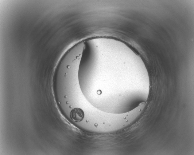 X0000063500950200602172115