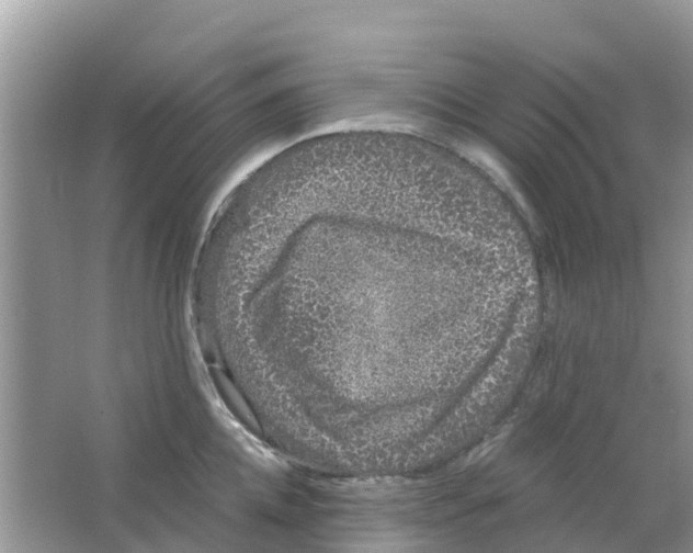 X0000063500952200602172115