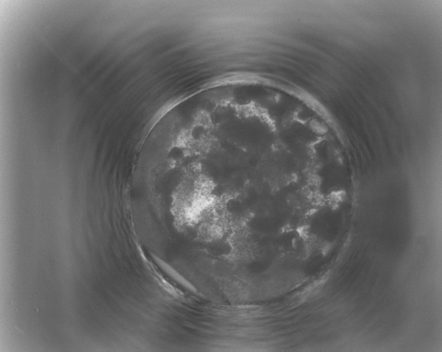 X0000063500953200602172115