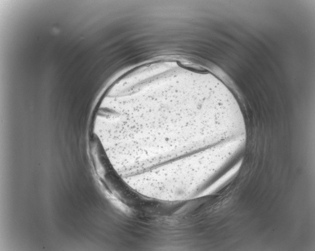 X0000063500955200602172115