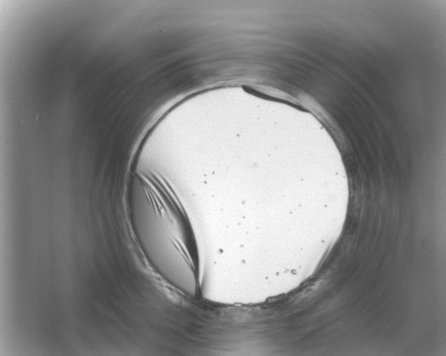 X0000063500956200602172115