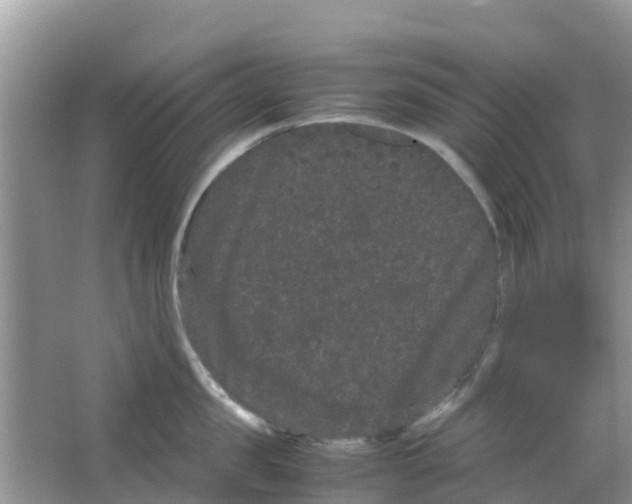 X0000063500957200602172115