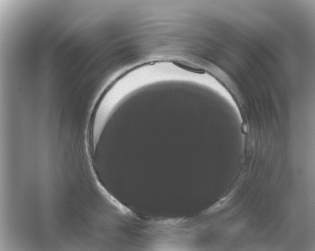 X0000063500958200602172115