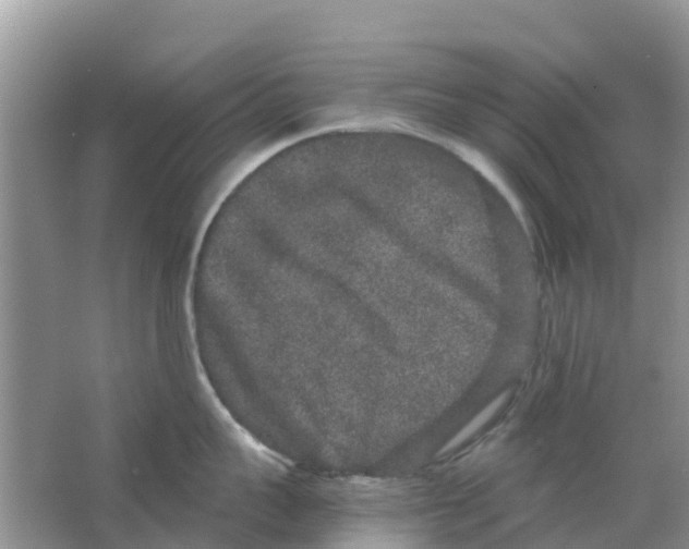 X0000063500959200602172115