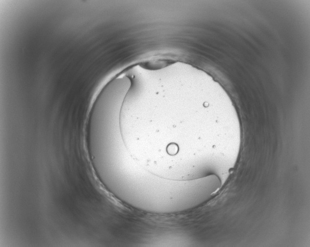 X0000063500960200602172115