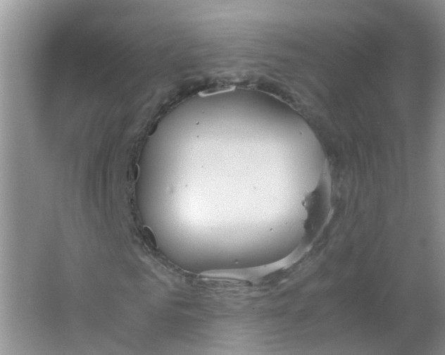 X0000063500961200602172114