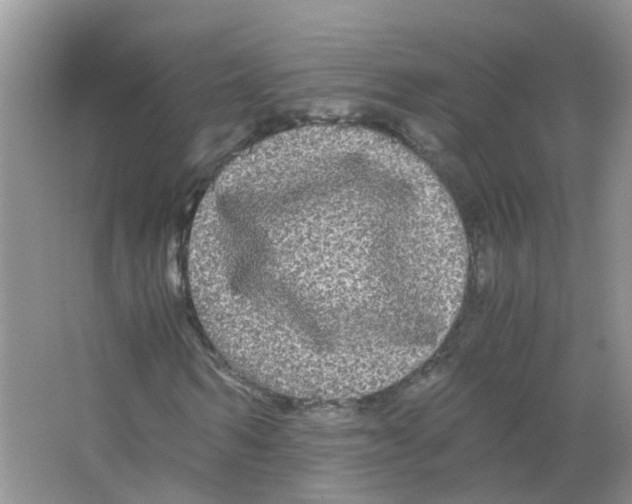 X0000063500962200602172114