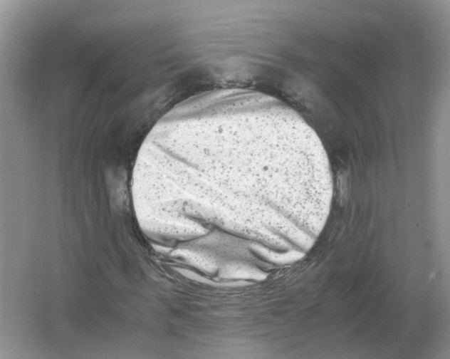 X0000063500963200602172114