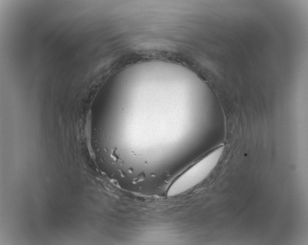 X0000063500965200602172114