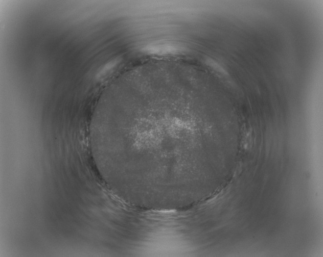 X0000063500966200602172114